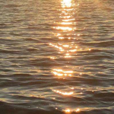 江南体育app在线下载